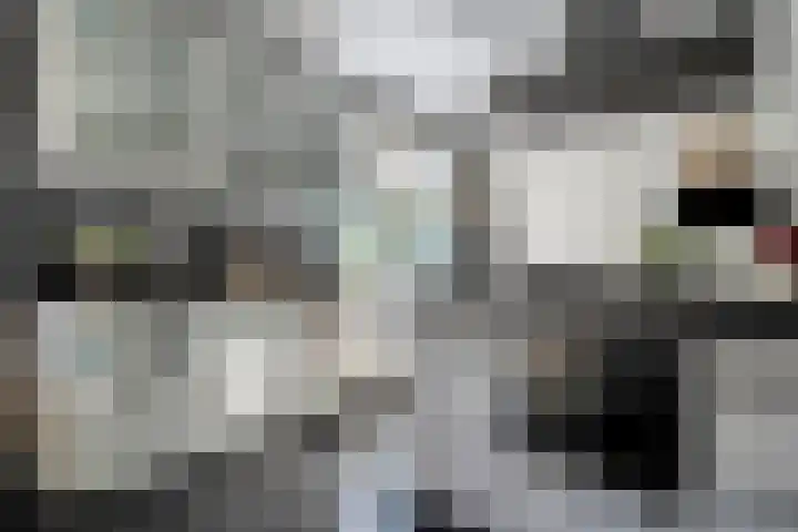 Koekoeksbloem 14 Hardenberg thumbnail 15