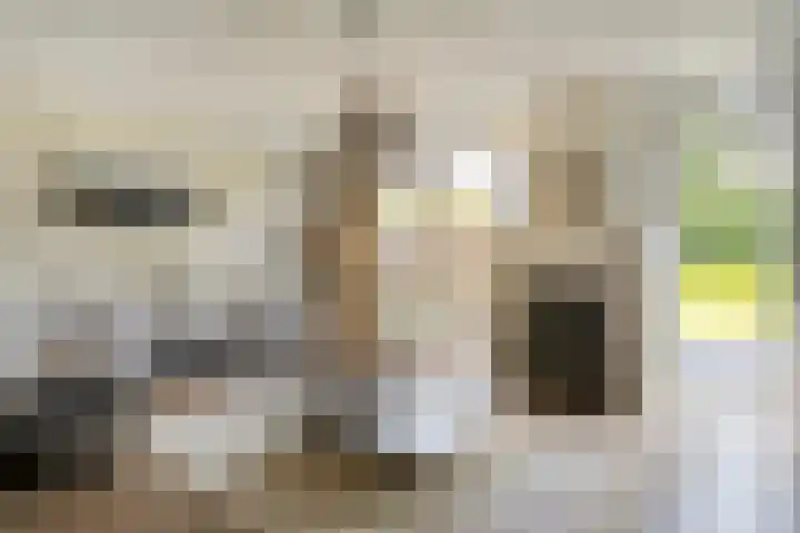 Koekoeksbloem 14 Hardenberg thumbnail 19