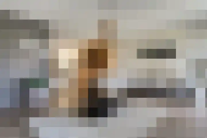 Koekoeksbloem 14 Hardenberg thumbnail 20