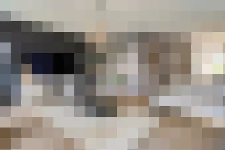 Koekoeksbloem 14 Hardenberg thumbnail 21