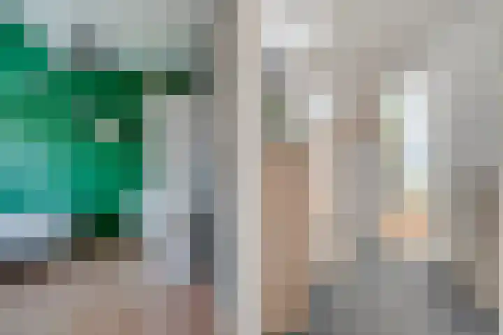 Koekoeksbloem 14 Hardenberg thumbnail 24