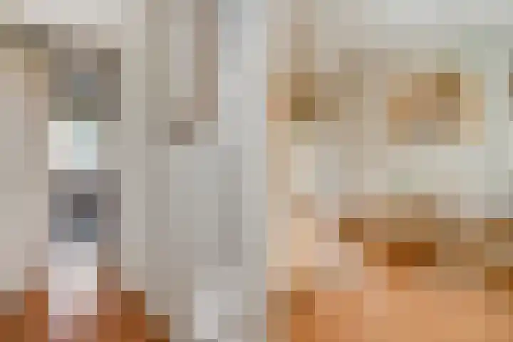 Koekoeksbloem 14 Hardenberg thumbnail 25