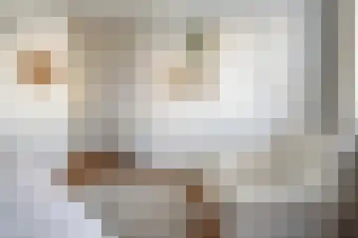 Koekoeksbloem 14 Hardenberg thumbnail 27