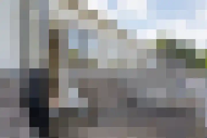 Koekoeksbloem 14 Hardenberg thumbnail 28