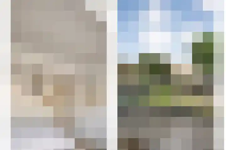 Koekoeksbloem 14 Hardenberg thumbnail 29