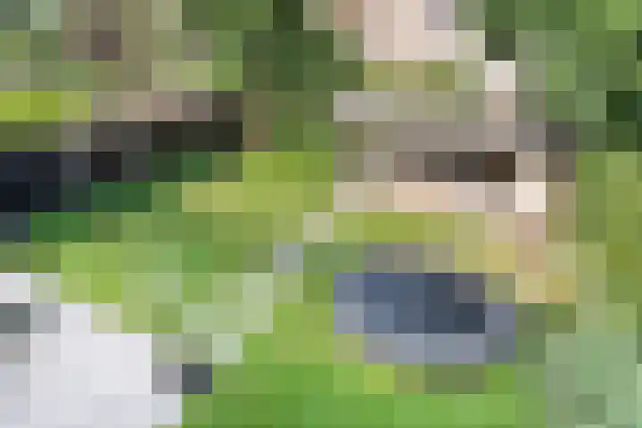 Koekoeksbloem 14 Hardenberg thumbnail 30