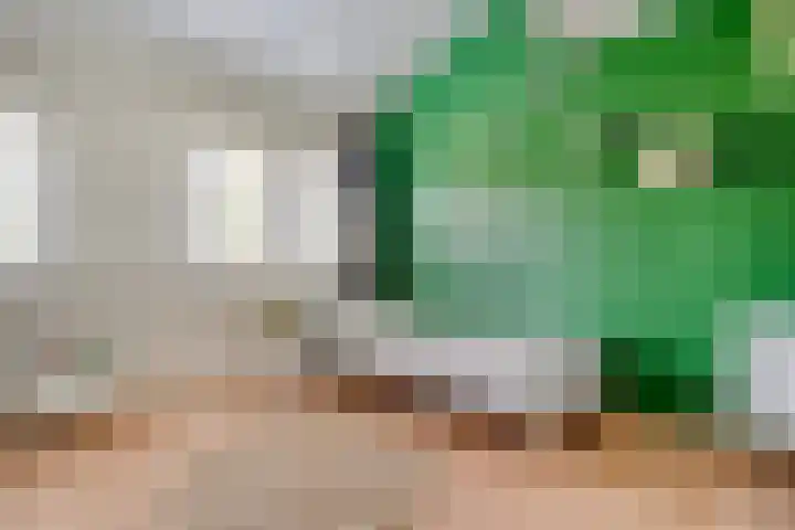 Koekoeksbloem 14 Hardenberg thumbnail 37