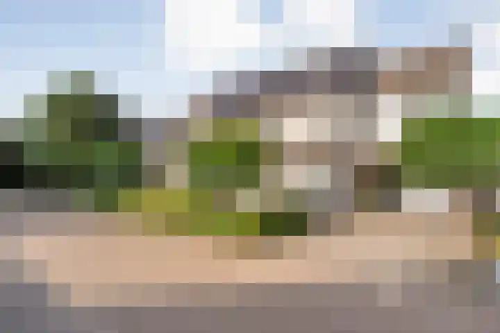 Koekoeksbloem 14 Hardenberg thumbnail 4