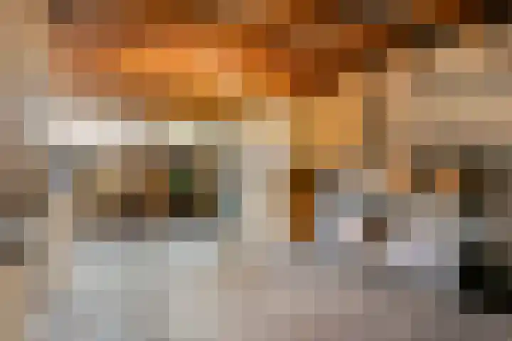 Koekoeksbloem 14 Hardenberg thumbnail 46