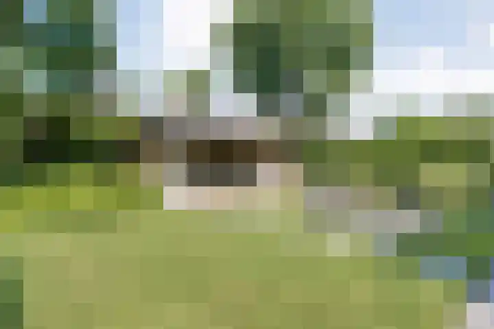 Koekoeksbloem 14 Hardenberg thumbnail 49