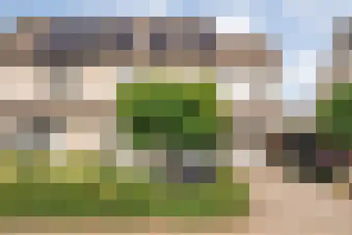 Koekoeksbloem 14 Hardenberg thumbnail 5