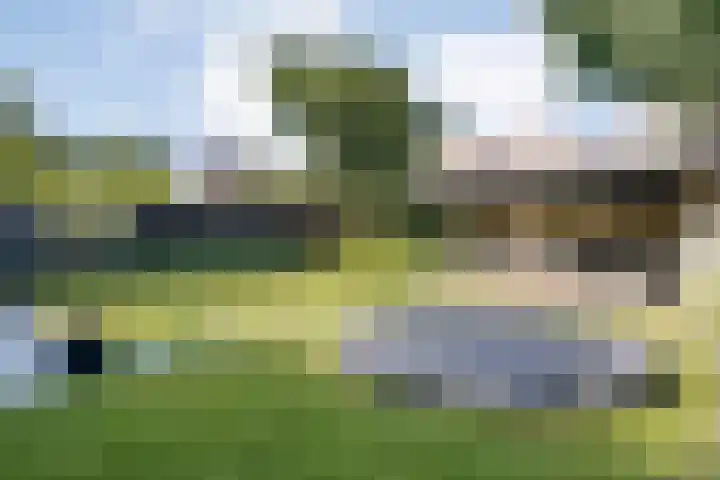Koekoeksbloem 14 Hardenberg thumbnail 50