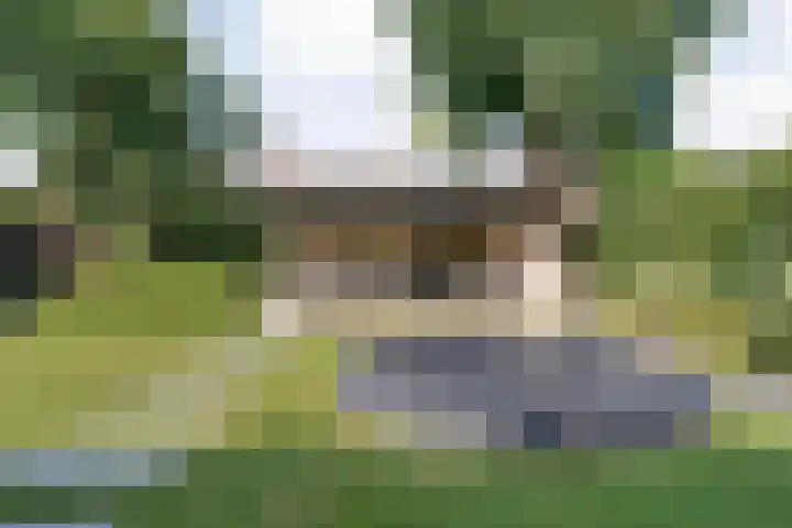 Koekoeksbloem 14 Hardenberg thumbnail 51