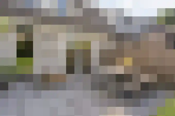 Koekoeksbloem 14 Hardenberg thumbnail 52