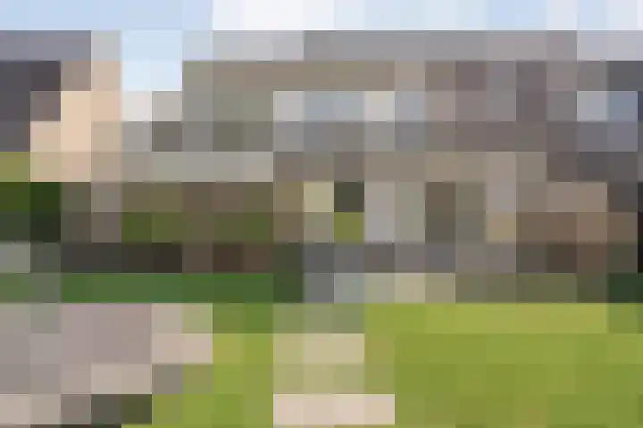 Koekoeksbloem 14 Hardenberg thumbnail 53