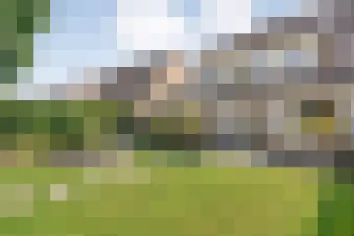 Koekoeksbloem 14 Hardenberg thumbnail 54