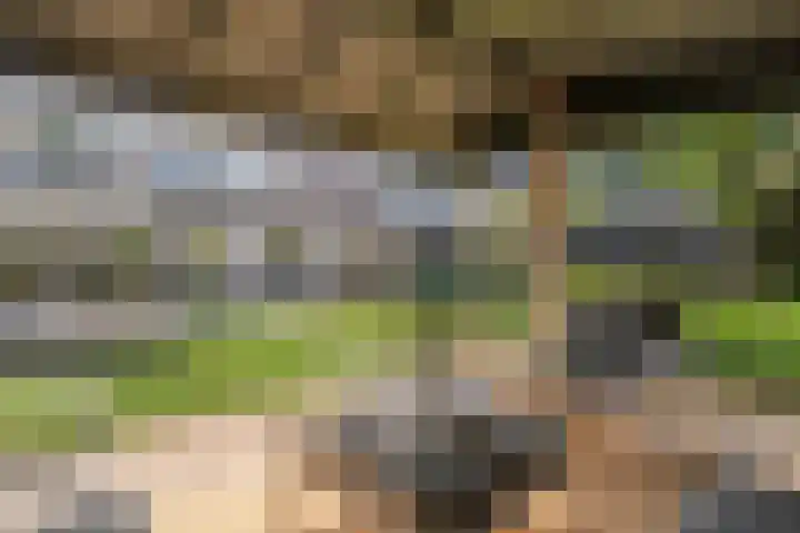 Koekoeksbloem 14 Hardenberg thumbnail 56