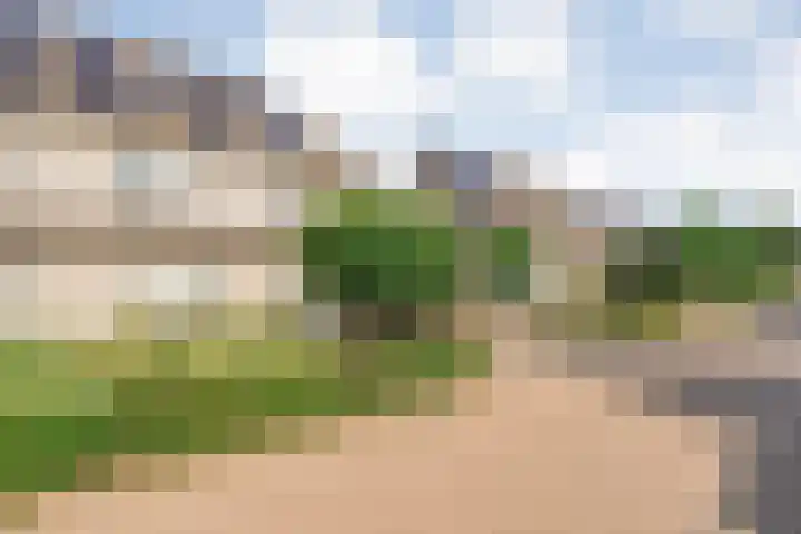 Koekoeksbloem 14 Hardenberg thumbnail 6