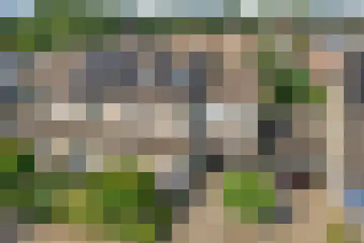 Koekoeksbloem 14 Hardenberg thumbnail 62