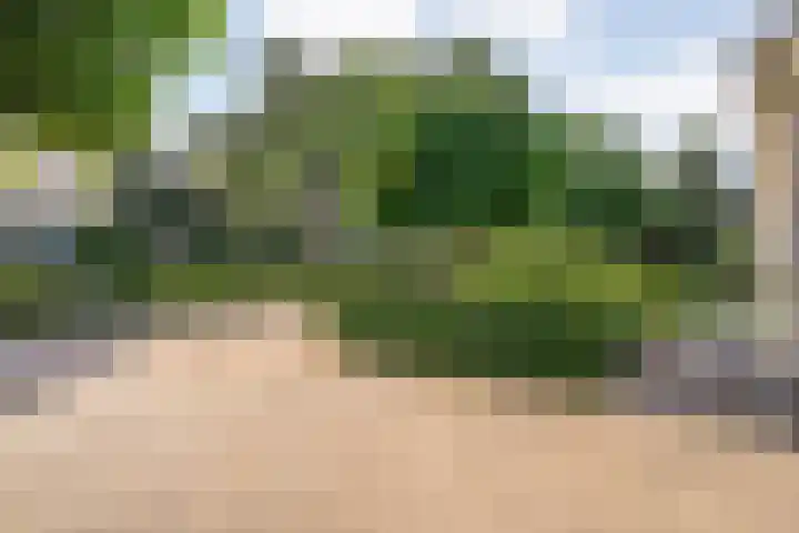 Koekoeksbloem 14 Hardenberg thumbnail 7