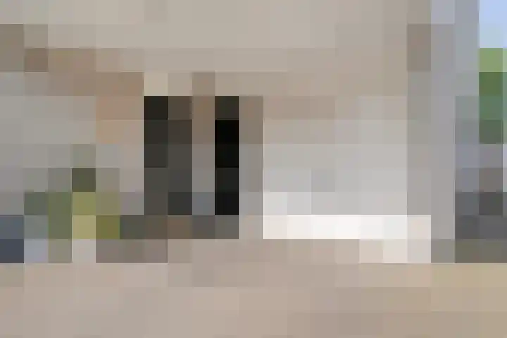 Koekoeksbloem 14 Hardenberg thumbnail 8