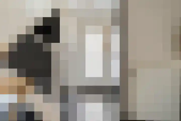 Koekoeksbloem 14 Hardenberg thumbnail 9