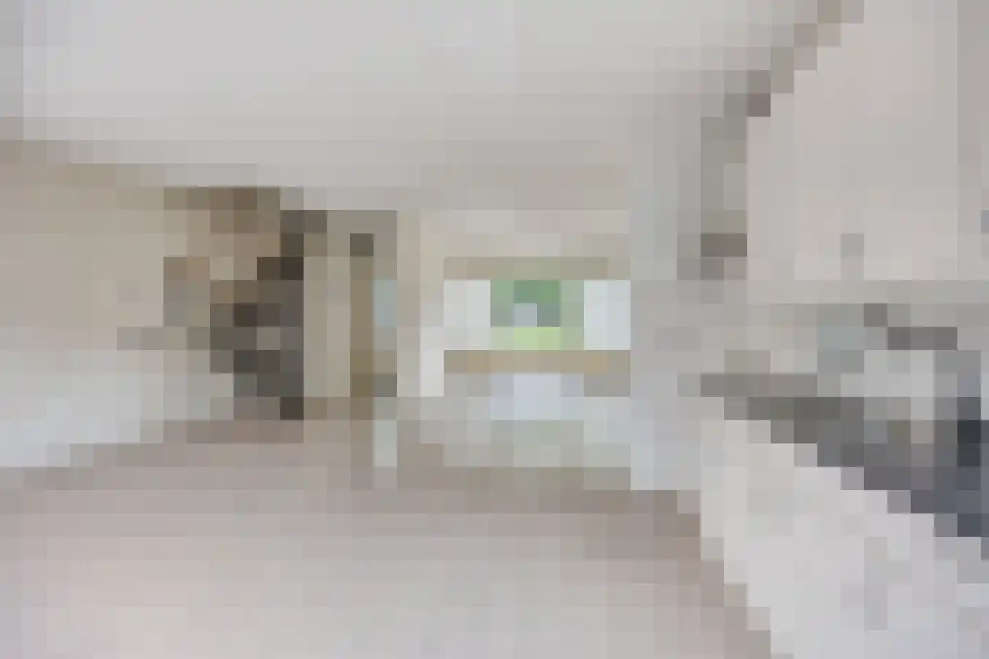 Koekoeksbloem 14 Uithoorn thumbnail 11