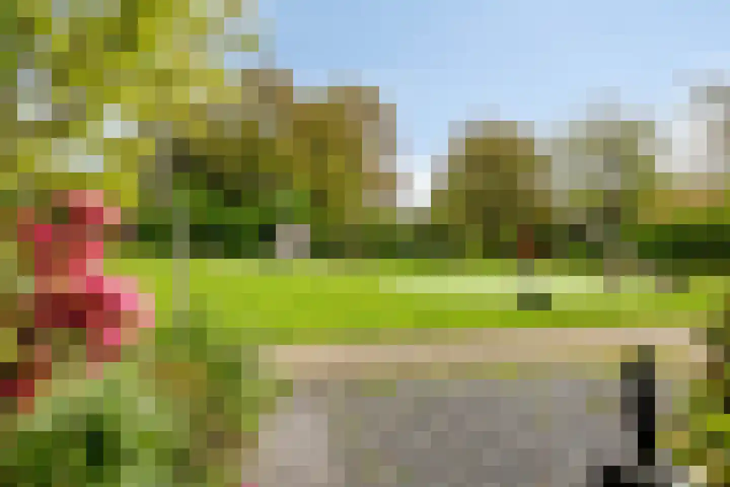 Koekoeksbloem 14 Uithoorn thumbnail 34