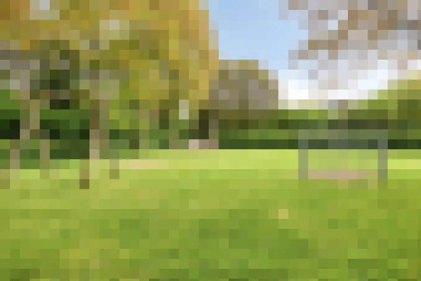Koekoeksbloem 14 Uithoorn thumbnail 37