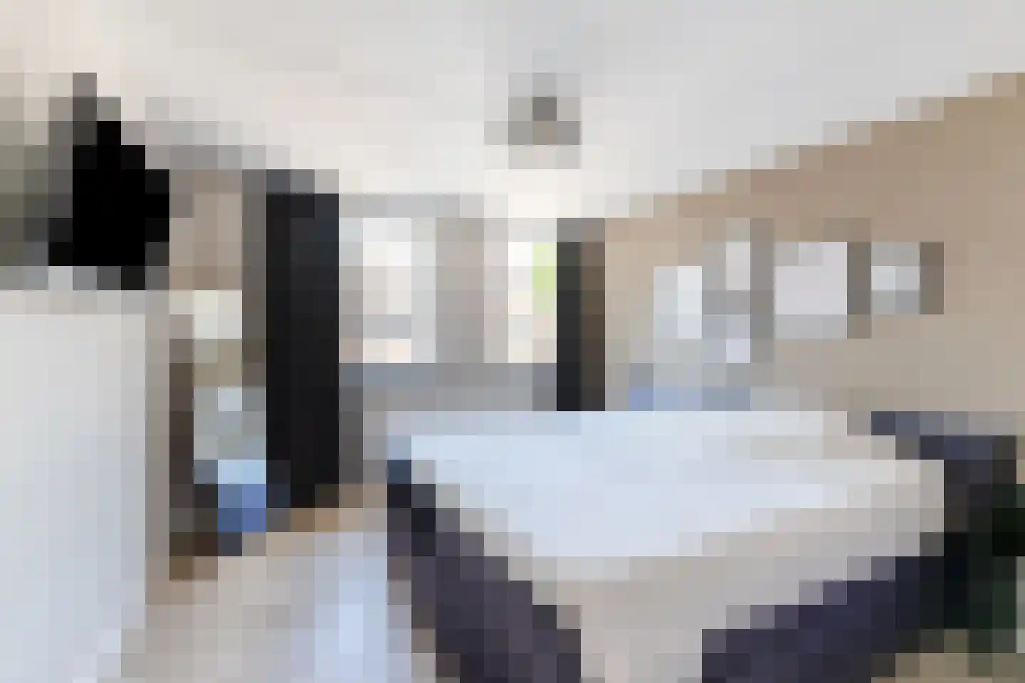 Koekoeksbloem 16 Udenhout thumbnail 18