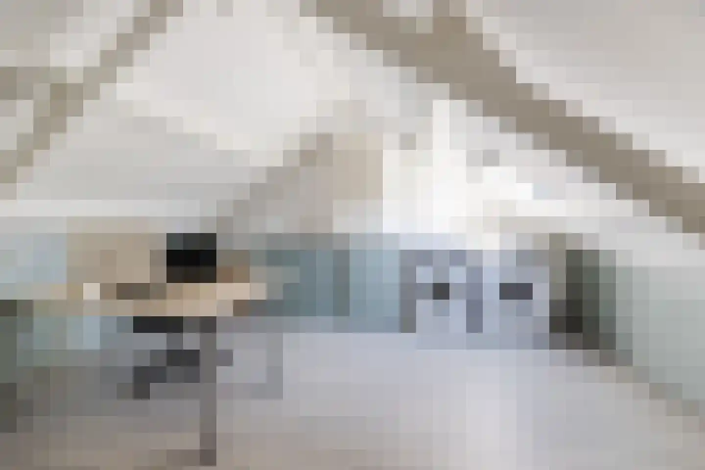 Koekoeksbloem 16 Udenhout thumbnail 29