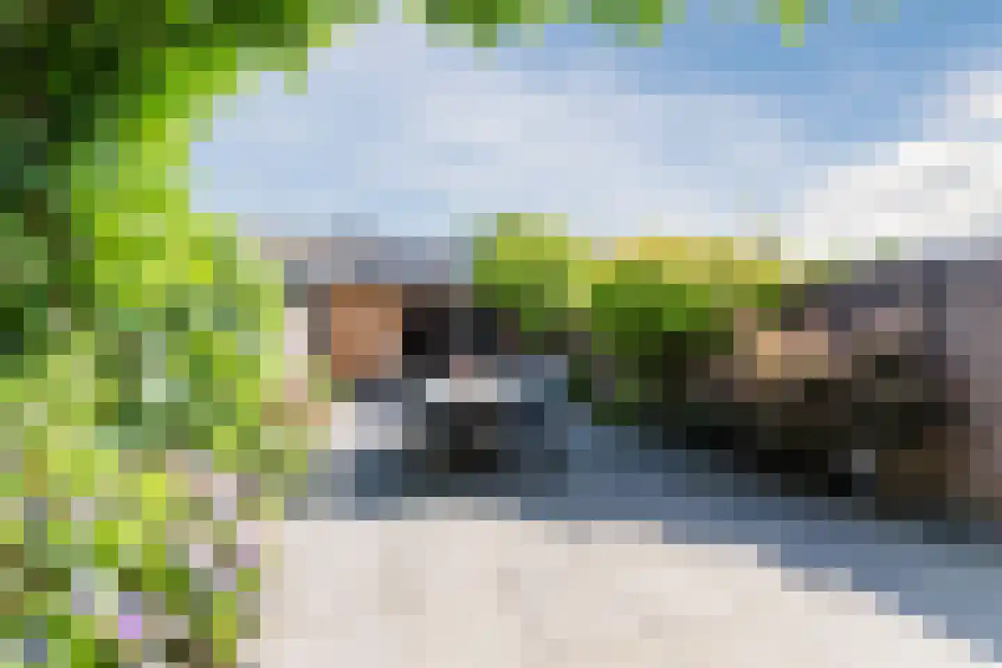Koekoeksbloem 16 Udenhout thumbnail 32