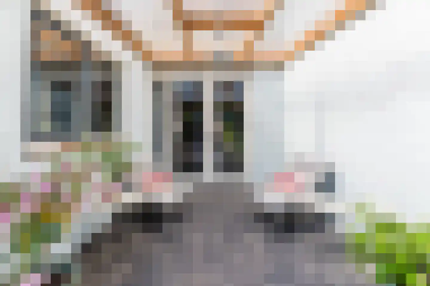 Koekoeksbloem 16 Udenhout thumbnail 34