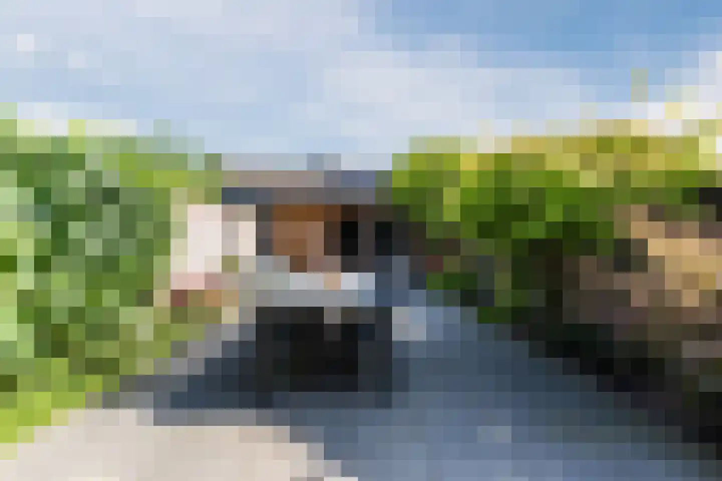 Koekoeksbloem 16 Udenhout thumbnail 35