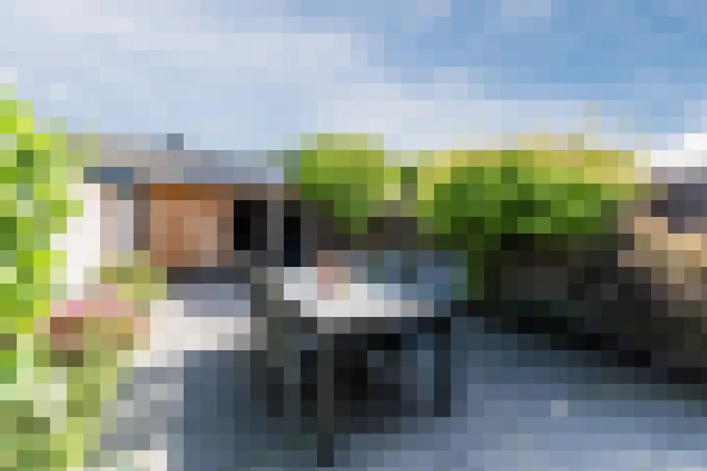 Koekoeksbloem 16 Udenhout thumbnail 36