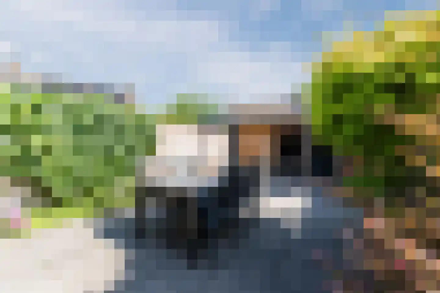 Koekoeksbloem 16 Udenhout thumbnail 37
