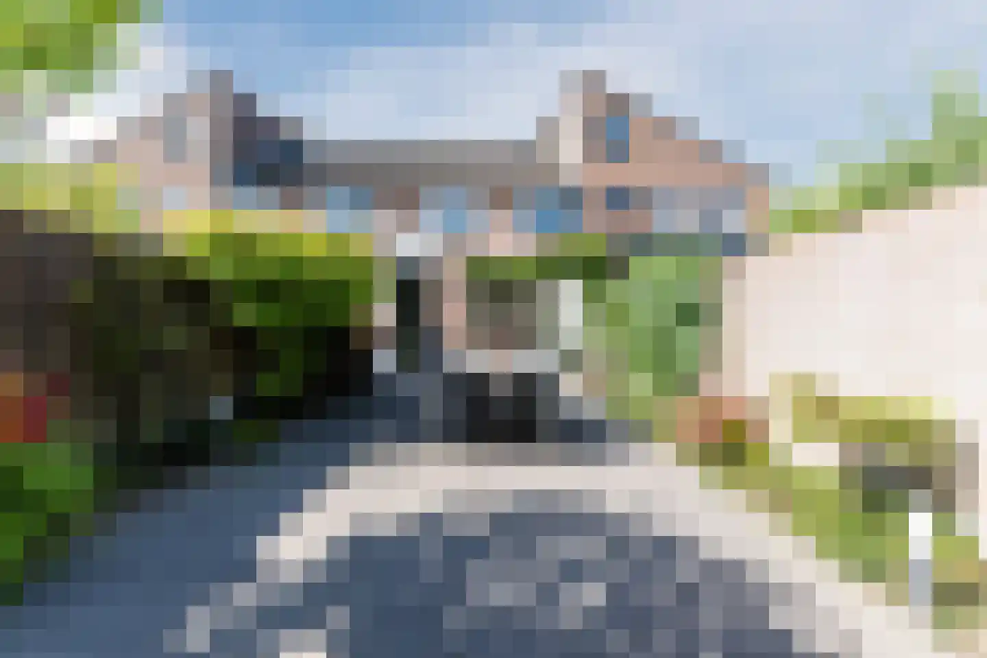 Koekoeksbloem 16 Udenhout thumbnail 38