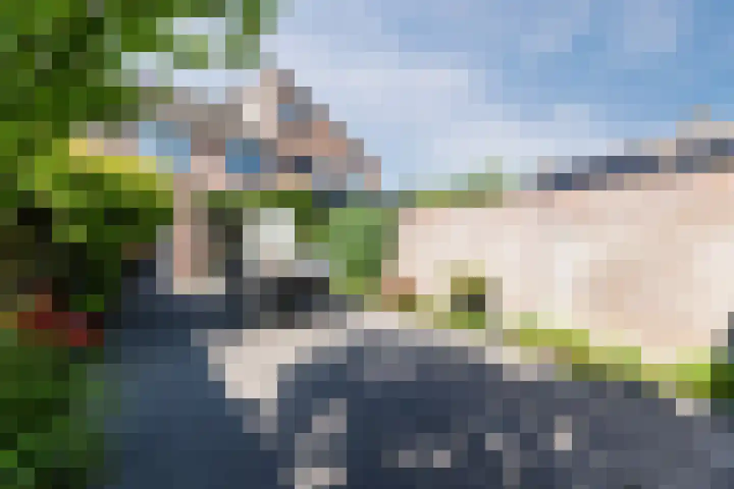 Koekoeksbloem 16 Udenhout thumbnail 39