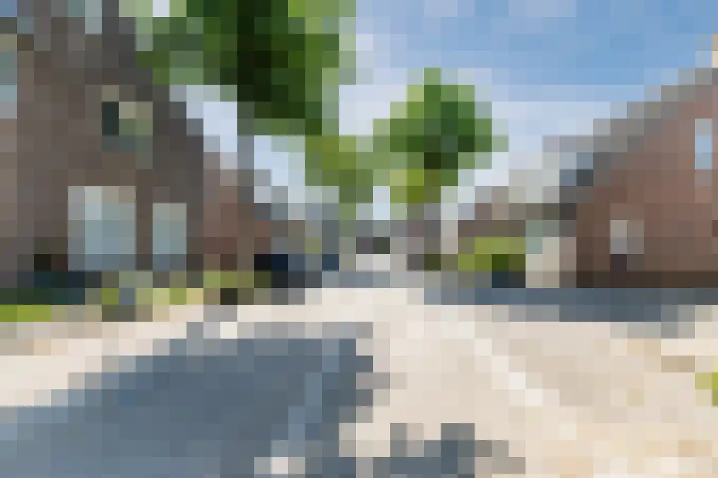 Koekoeksbloem 16 Udenhout thumbnail 41