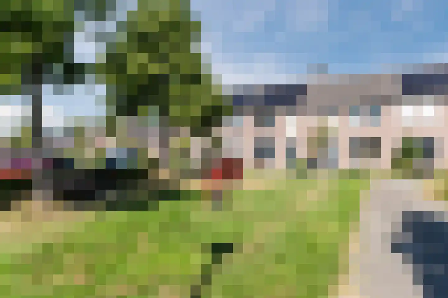 Koekoeksbloem 16 Udenhout thumbnail 42
