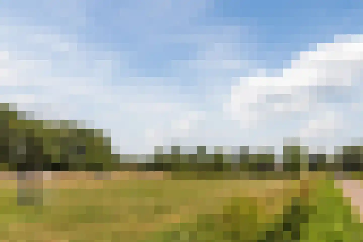 Koekoeksbloem 16 Udenhout thumbnail 44