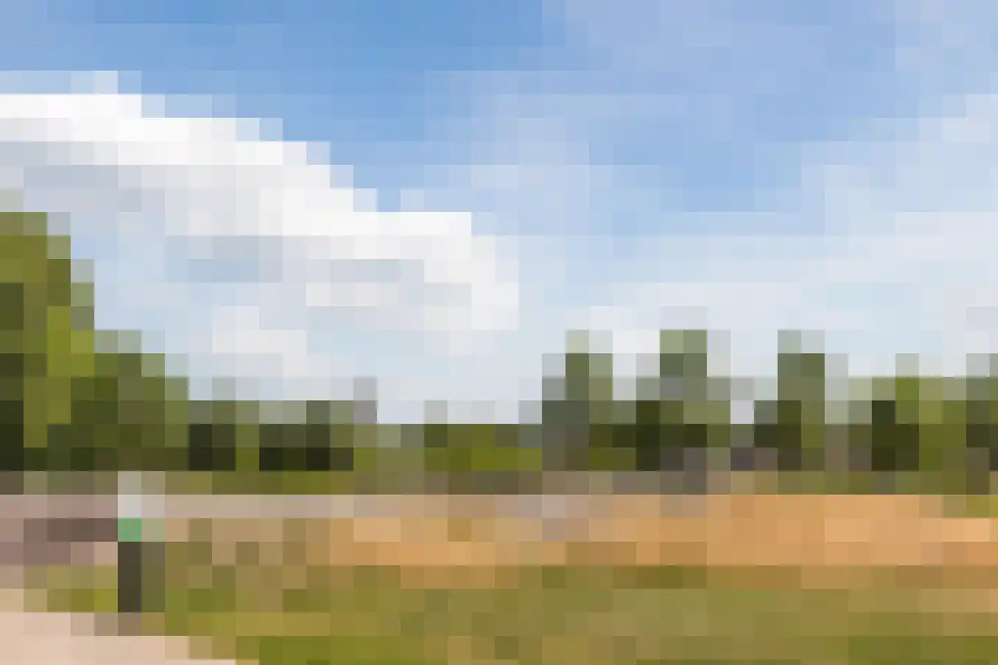 Koekoeksbloem 16 Udenhout thumbnail 45