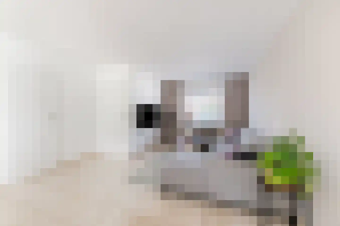 Koekoeksbloem 16 Udenhout thumbnail 7