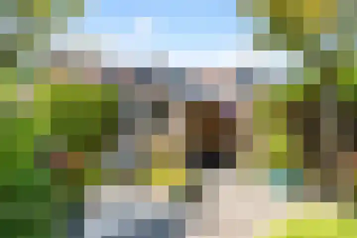 Koekoeksbloem 18 Castricum thumbnail 15