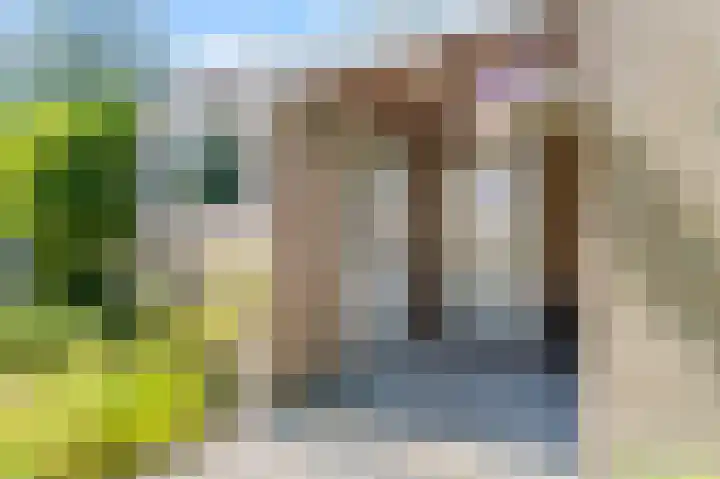 Koekoeksbloem 18 Castricum thumbnail 18