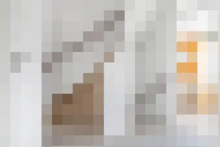 Koekoeksbloem 18 Castricum thumbnail 20