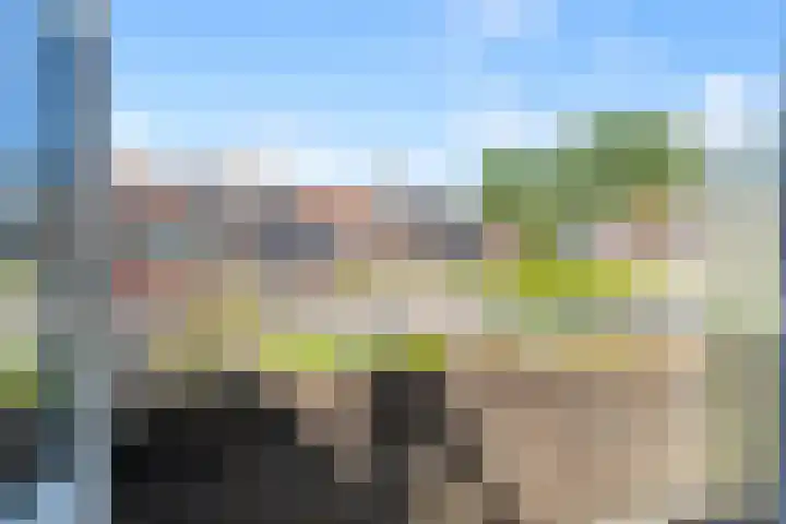 Koekoeksbloem 18 Castricum thumbnail 25