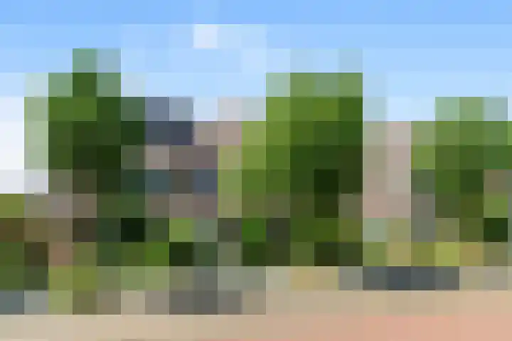 Koekoeksbloem 18 Castricum thumbnail 34