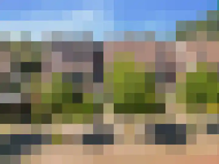 Koekoeksbloem 18 Castricum thumbnail 35