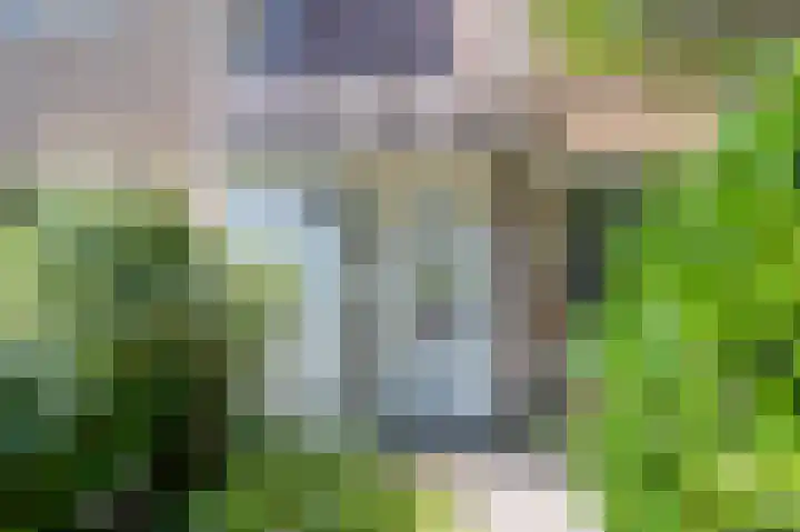 Koekoeksbloem 18 Castricum thumbnail 37